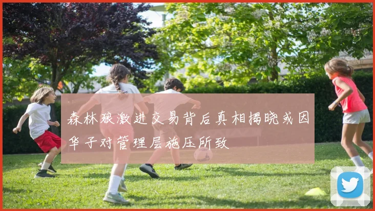 森林狼激进交易背后真相揭晓或因华子对管理层施压所致